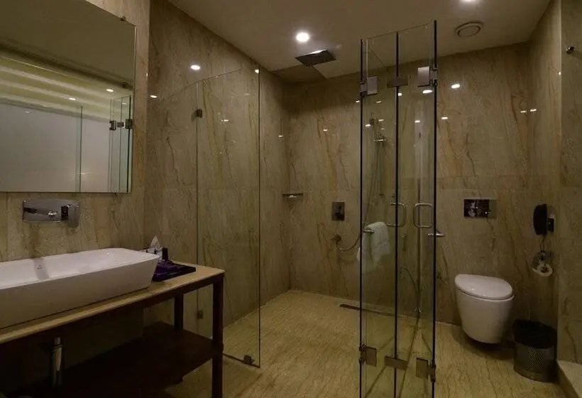 اتاق سوپریور با تخت بزرگ, Park Regis Goa