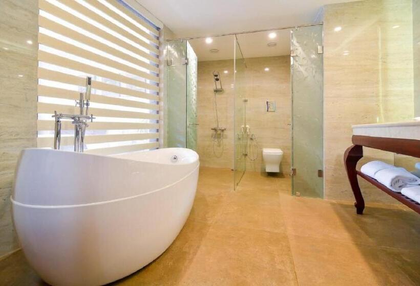 سوئیت رویال, Park Regis Goa