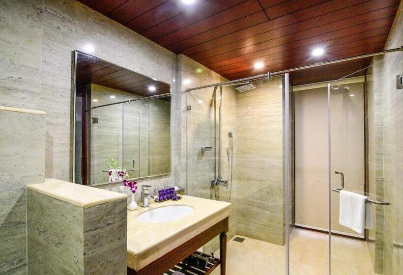 اتاق لوکس با بالکن, Park Regis Goa