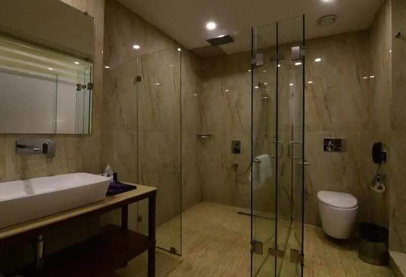 اتاق سوپریور با تخت بزرگ, Park Regis Goa