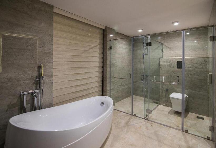 اتاق استاندارد با چشم‌انداز استخر, Park Regis Goa