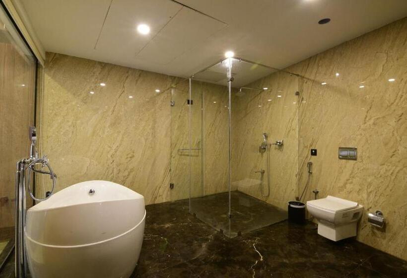 استودیو خانوادگی, Park Regis Goa