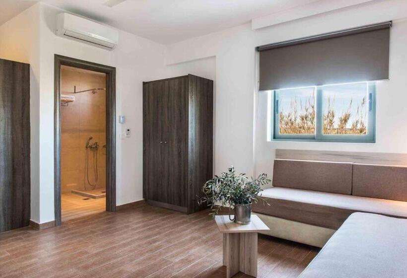 Студия Стандарт, Gerona Mare Apartments