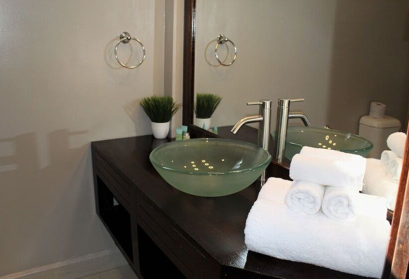 스탠다드 룸 풀장 전망, Barefoot Caye Caulker