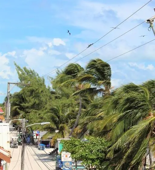 اتاق استاندارد با تخت بزرگ, Barefoot Caye Caulker