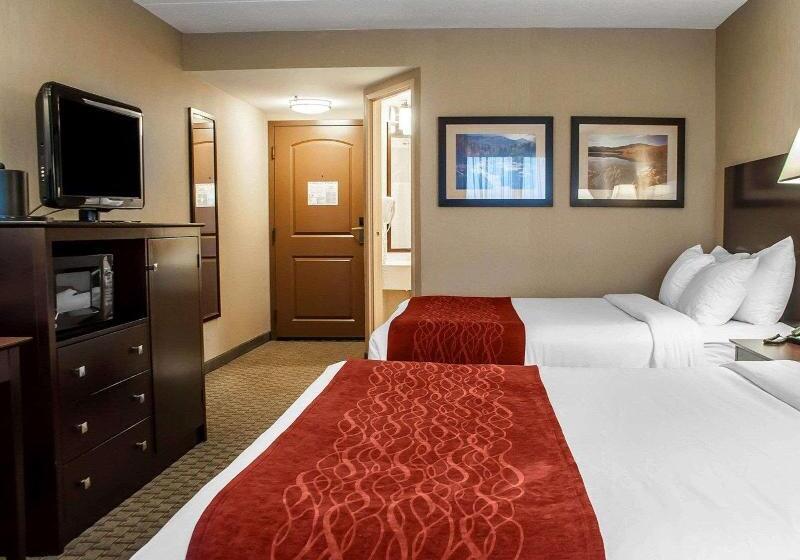 Standard Room, Mecasa