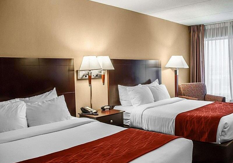 Pokój Standard, Mecasa