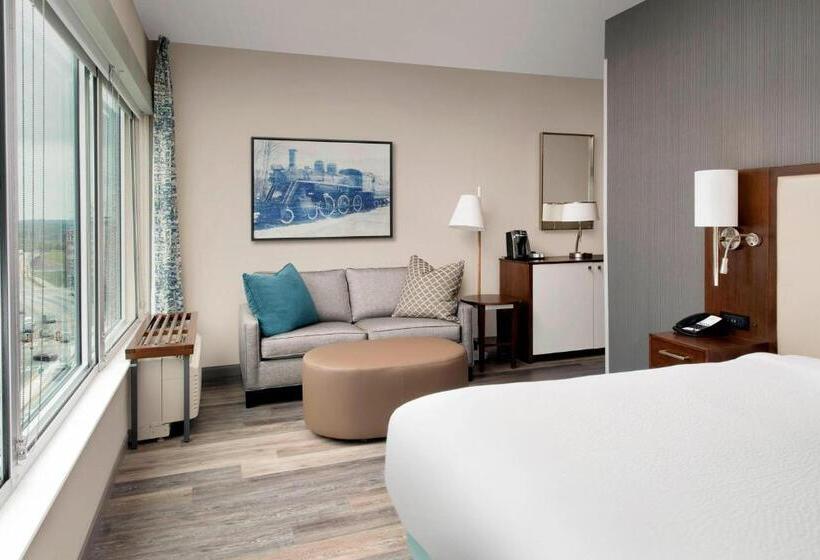 סוויטה עם נוף לעיר, Springhill Suites By Marriott Atlanta Downtown