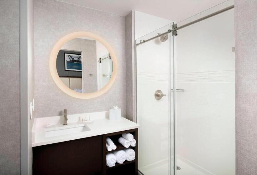 סוויטה מותאמת לאדם עם מוגבלויות, Springhill Suites By Marriott Atlanta Downtown