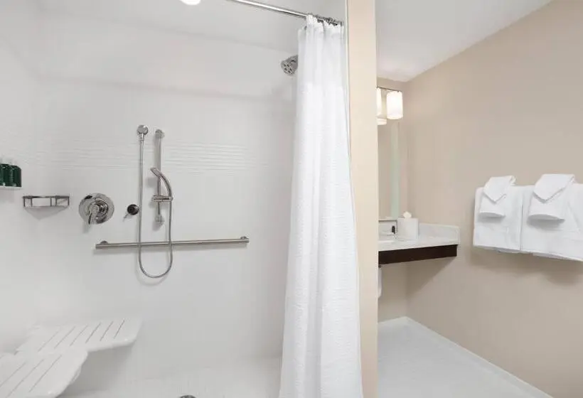 キングサイドベッドのスタンダードワンルーム, Towneplace Suites Orlando Lake Buena Vista/Palm Parkway