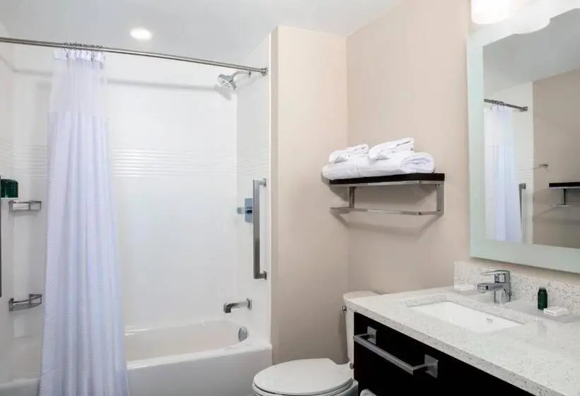 キングサイドベッドのスタンダードワンルーム, Towneplace Suites Orlando Lake Buena Vista/Palm Parkway