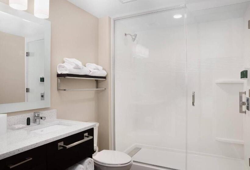 جناح غرفتين نوم, Towneplace Suites Orlando Lake Buena Vista/Palm Parkway