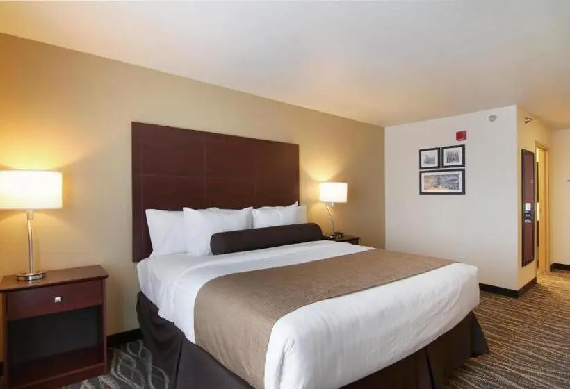 キングサイズベッドのスタンダードルーム, Cobblestone Inn & Suites   Menomonie/uw Stout