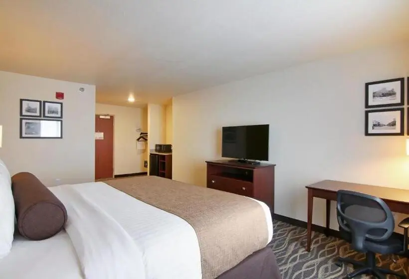 キングサイズベッドのスタンダードルーム, Cobblestone Inn & Suites   Menomonie/uw Stout