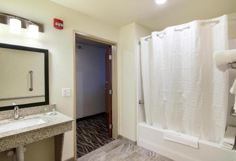 غرفة قياسية سرير كينج لذوى الإحتياجات الخاصة, Cobblestone Inn & Suites   Menomonie/uw Stout