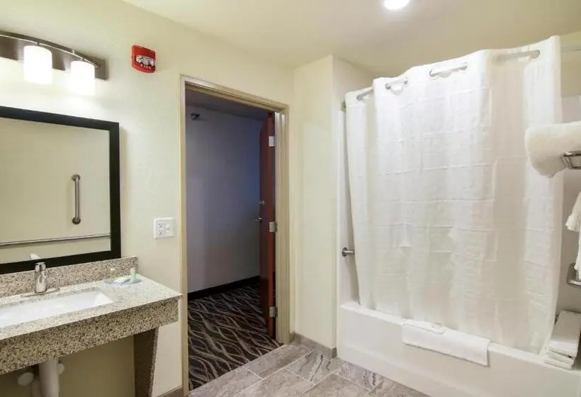 身障者適用キングサイズベッドルーム, Cobblestone Inn & Suites   Menomonie/uw Stout