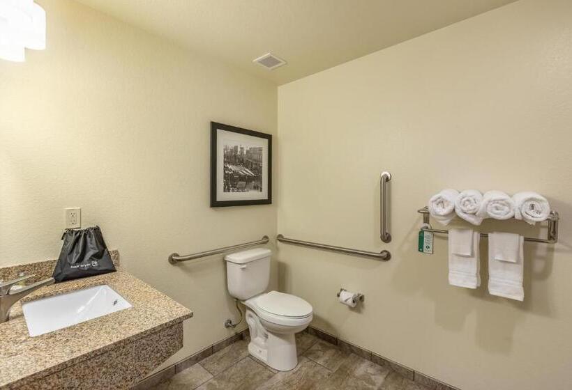 适合残疾人使用的标准间, Cobblestone Inn & Suites   Menomonie/uw Stout