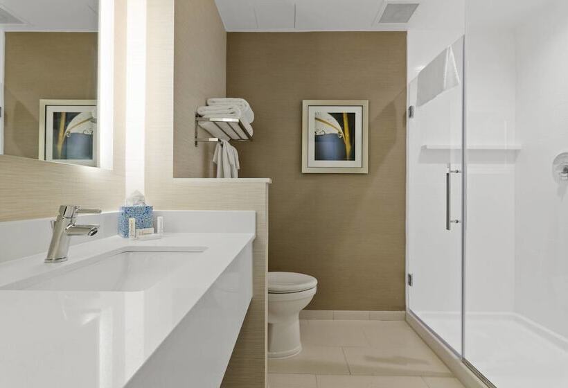 スイート, Fairfield Inn & Suites By Marriott St Petersburg North