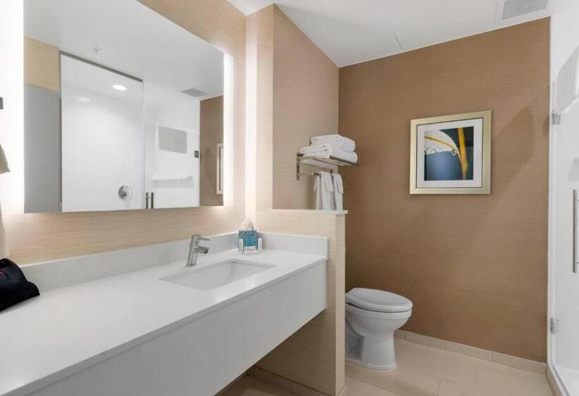 スタンダードルーム, Fairfield Inn & Suites By Marriott St Petersburg North