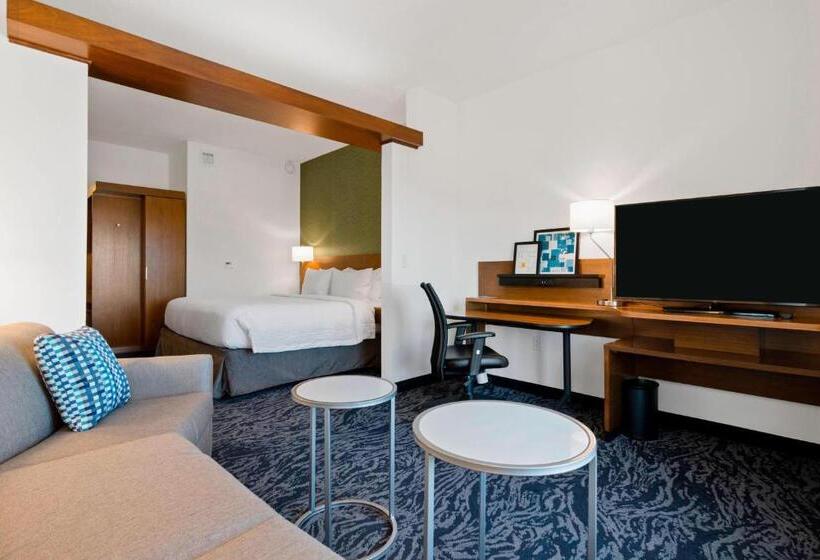 エクゼクティブスイート, Fairfield Inn & Suites By Marriott St Petersburg North