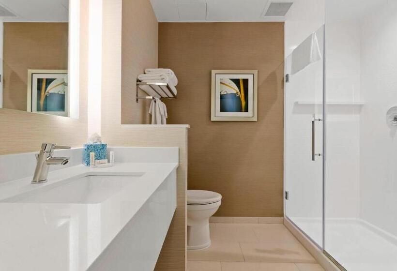 スイート, Fairfield Inn & Suites By Marriott St Petersburg North