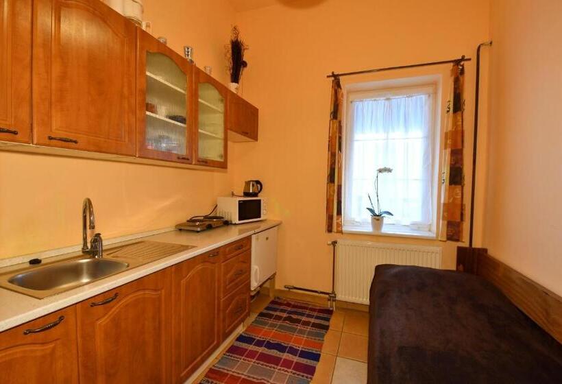 Апартаменты 1 Спальня, Villa Victoria Penzion