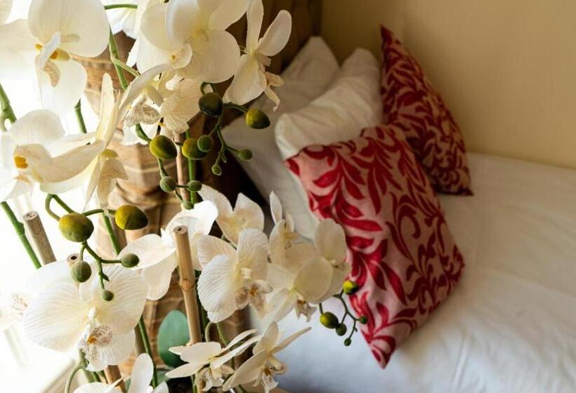 Pokój Standard Jednoosobowy, Brogans Bar &