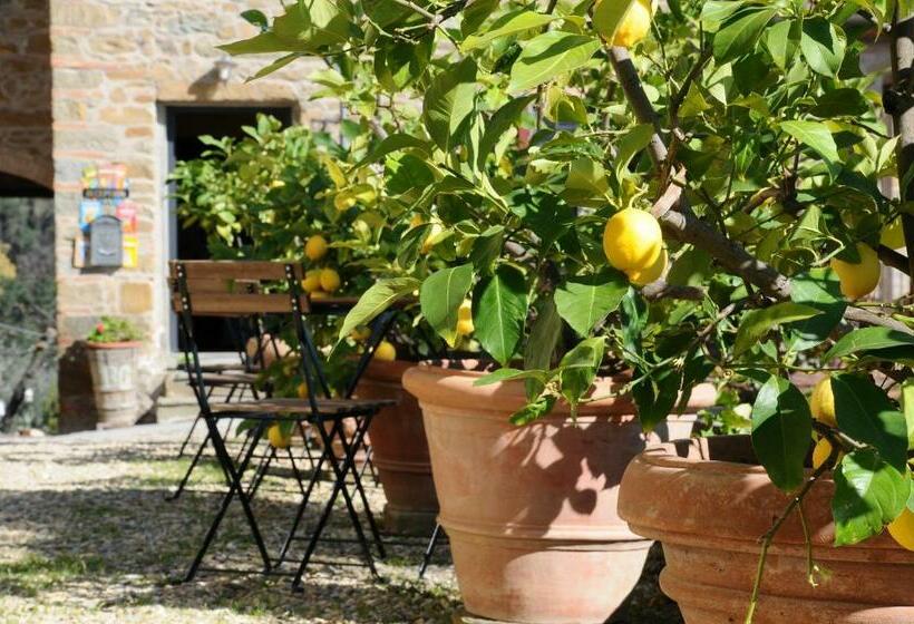 Студия Стандарт, Agriturismo La Gioconda