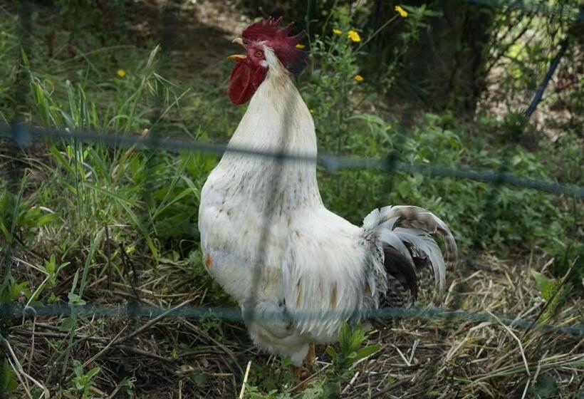 Апартаменты 1 Спальня с Балконом, Agriturismo La Gioconda