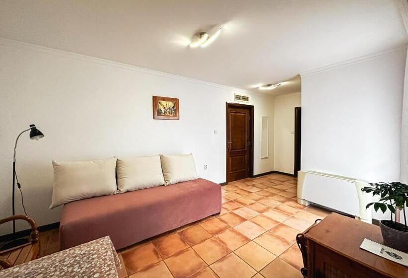 آپارتمان 1 خوابه با چشمانداز, Aparthotel Villa Lav