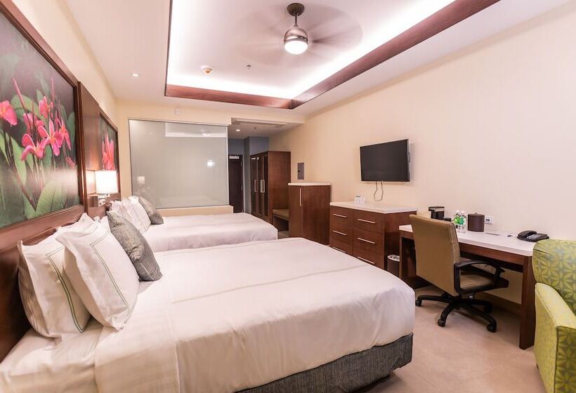 Номер Executive, Surfrider Resort