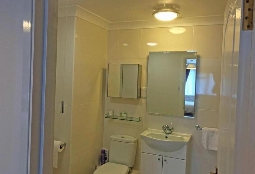 غرفة ديلوكس سرير كينج, Merton House