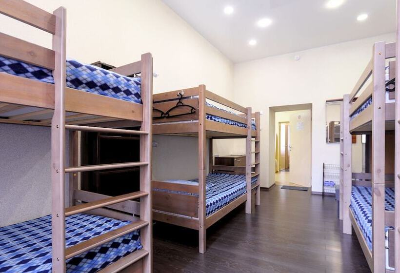 Кровать в Общей Комнате, Vladstar Inn Hostel