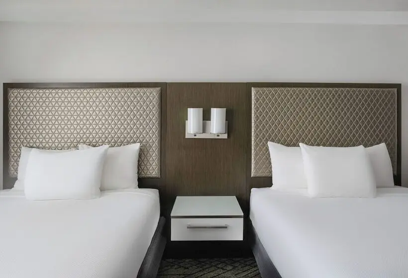 身障者適用クイーンサイズベッドルーム, Hyatt Washington Dc/convention Center