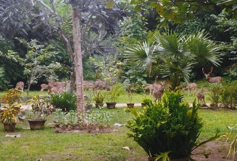 Трежместный Номер Economy, Deer Garden Guest