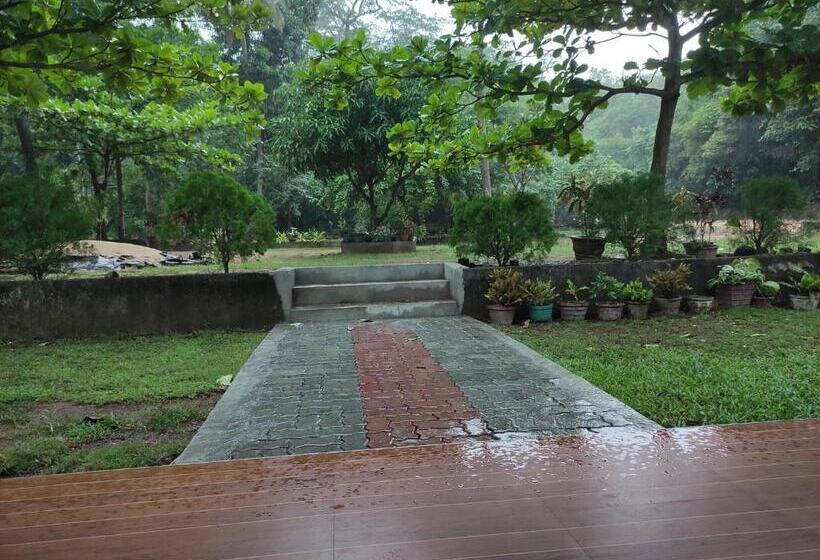 Номер Deluxe, Deer Garden Guest