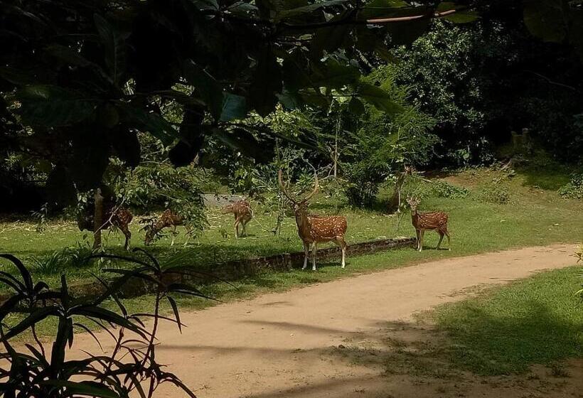 Номер Deluxe, Deer Garden Guest