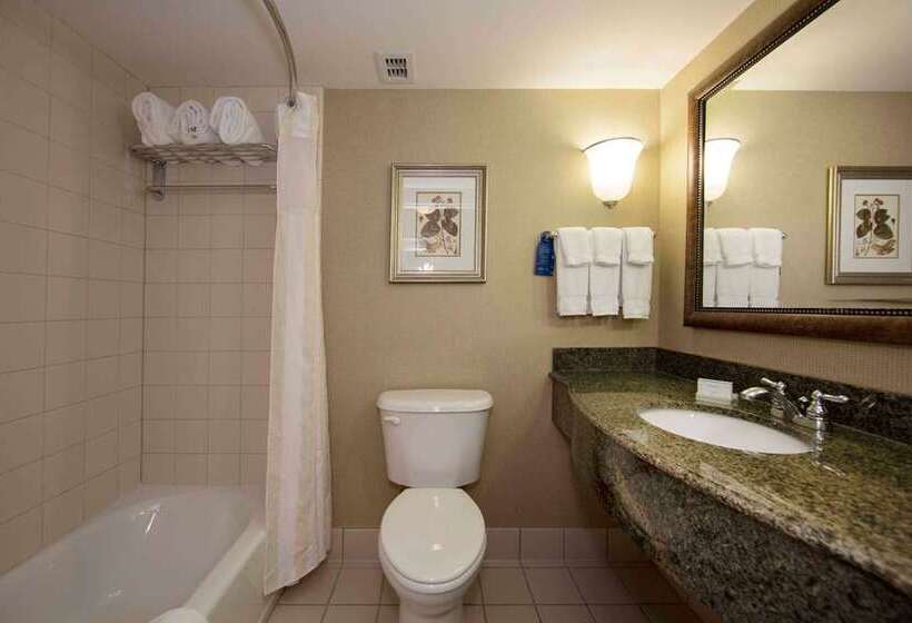 اتاق استاندارد با تخت بزرگ, Hilton Garden Inn Chihuahua