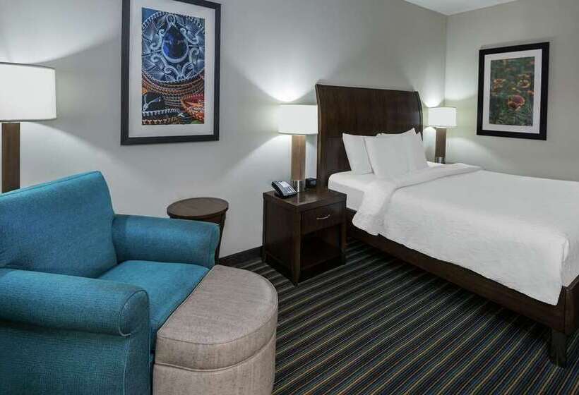 اتاق استاندارد با تخت بزرگ, Hilton Garden Inn Chihuahua