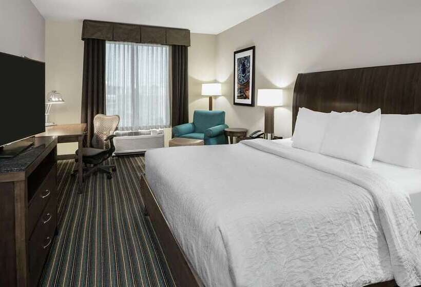 اتاق استاندارد با تخت بزرگ, Hilton Garden Inn Chihuahua