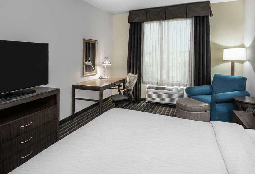 اتاق استاندارد با تخت بزرگ, Hilton Garden Inn Chihuahua