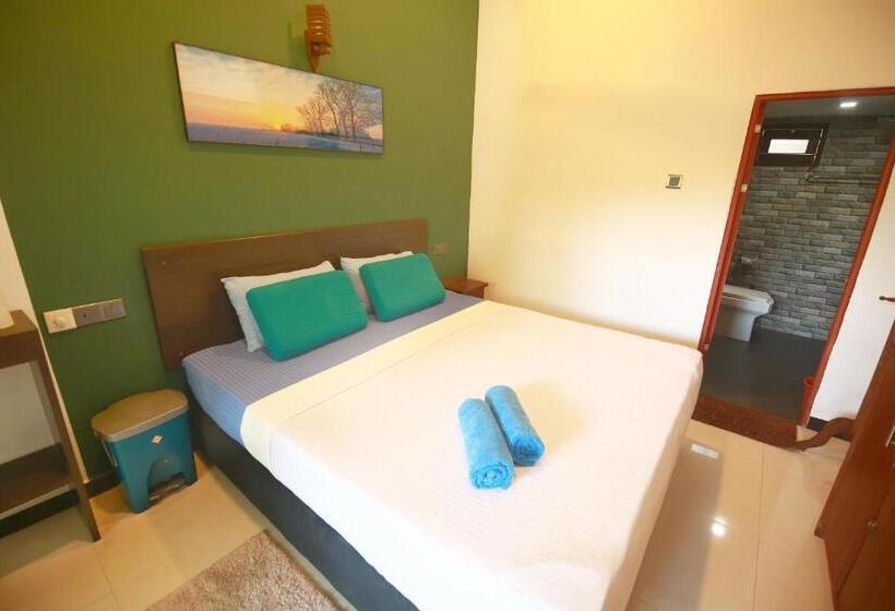 غرفة ديلوكس, Surf Lavender