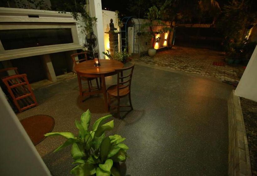 غرفة قياسية, Surf Lavender