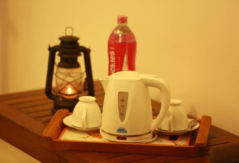 غرفة قياسية, Surf Lavender