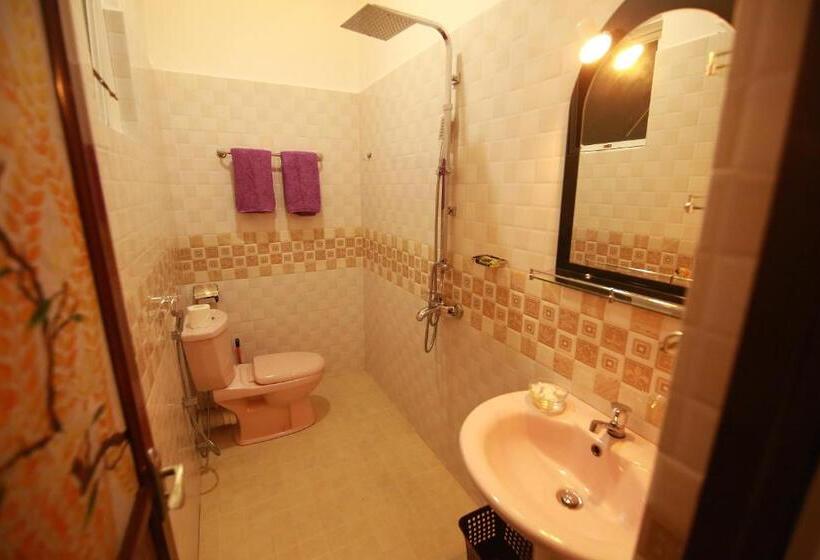 غرفة قياسية, Surf Lavender