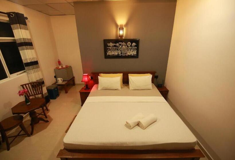 غرفة قياسية, Surf Lavender