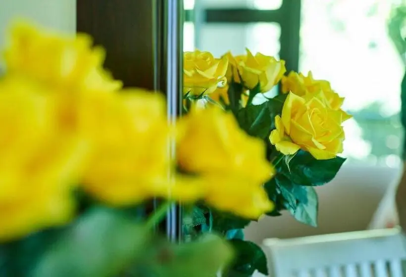 スタンダードルーム, The Hamptons Guest House