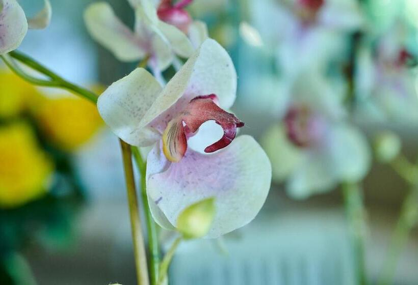 Номер Стандарт, The Hamptons Guest House