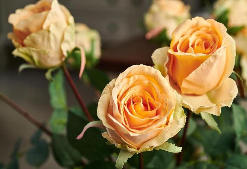 Номер Стандарт, The Hamptons Guest House