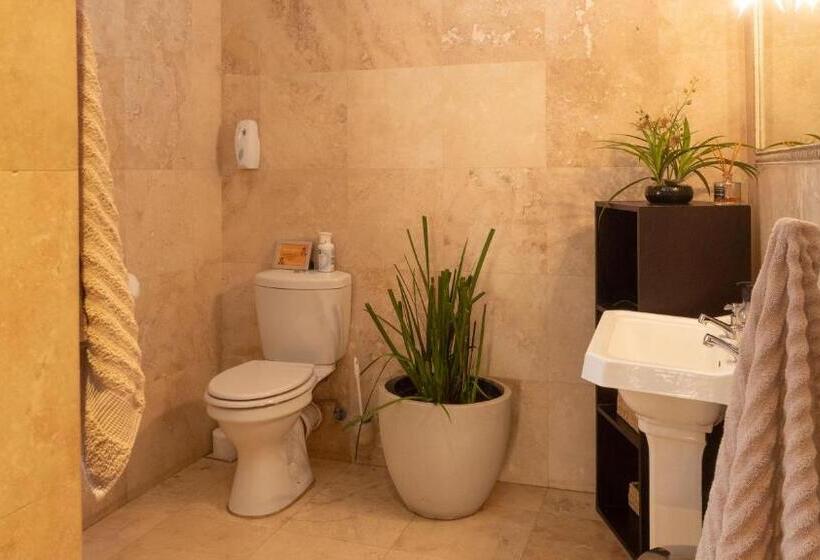 Deluxe Kamer met Uitzicht op de Tuin, Tuareg Guest House